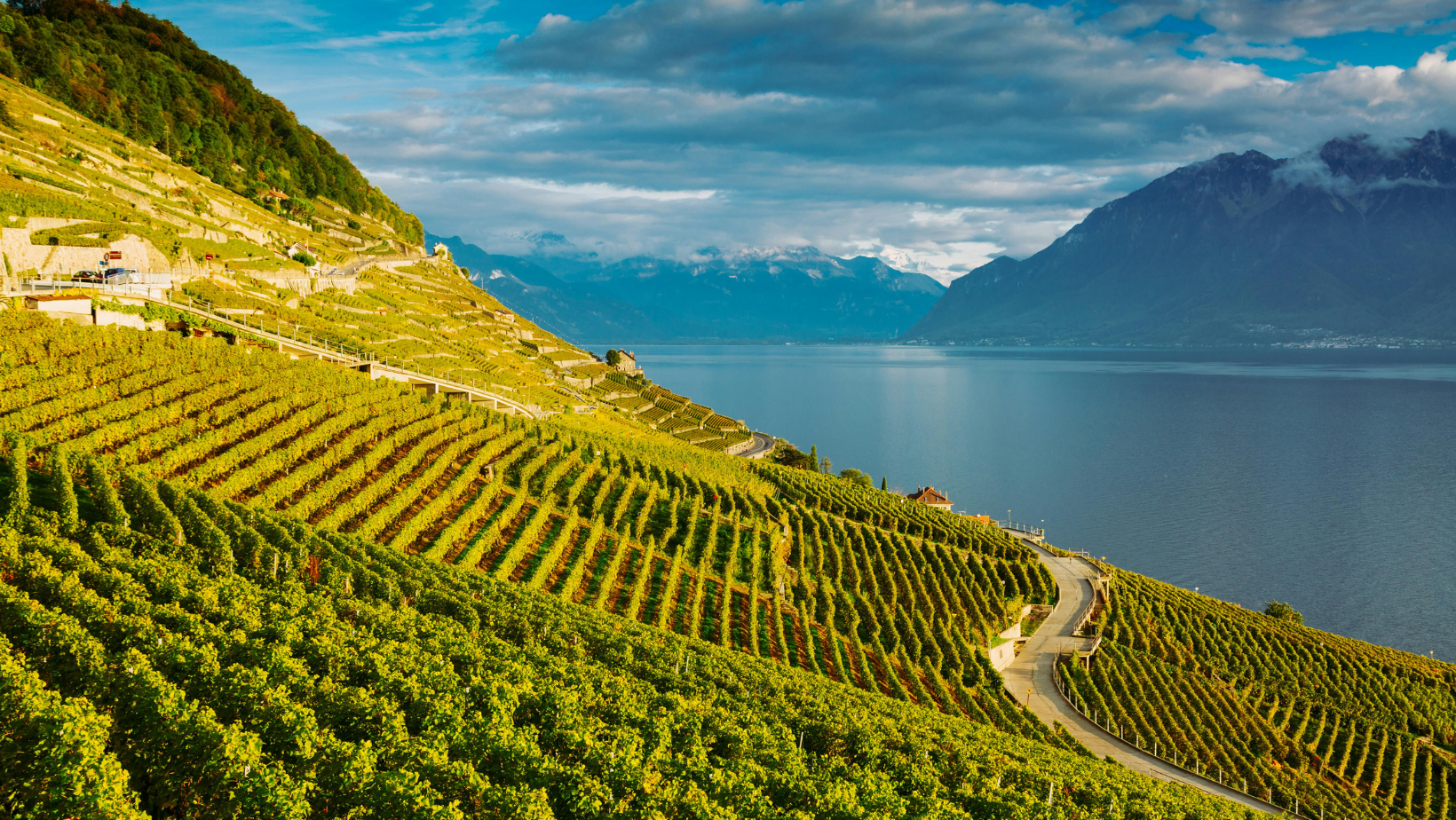 Swiss Wine Discovery April 27