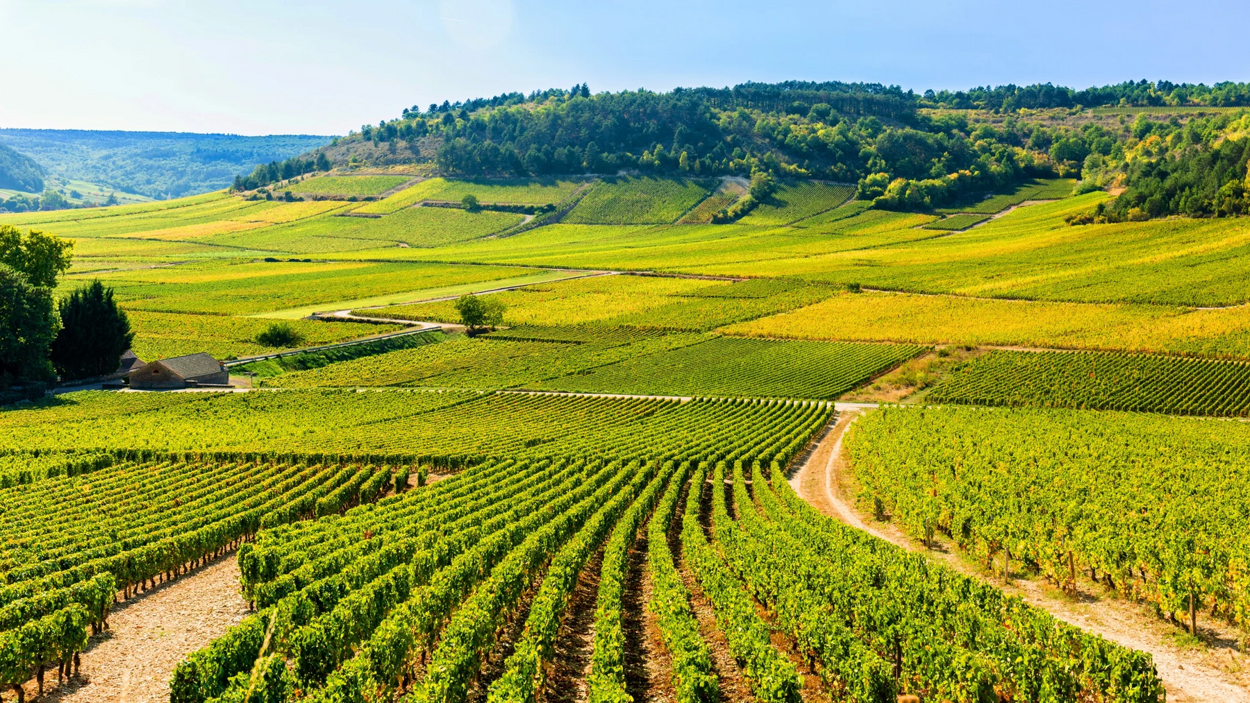 風土之實說布爾岡基爾瑪Les Climats de Bourgogne