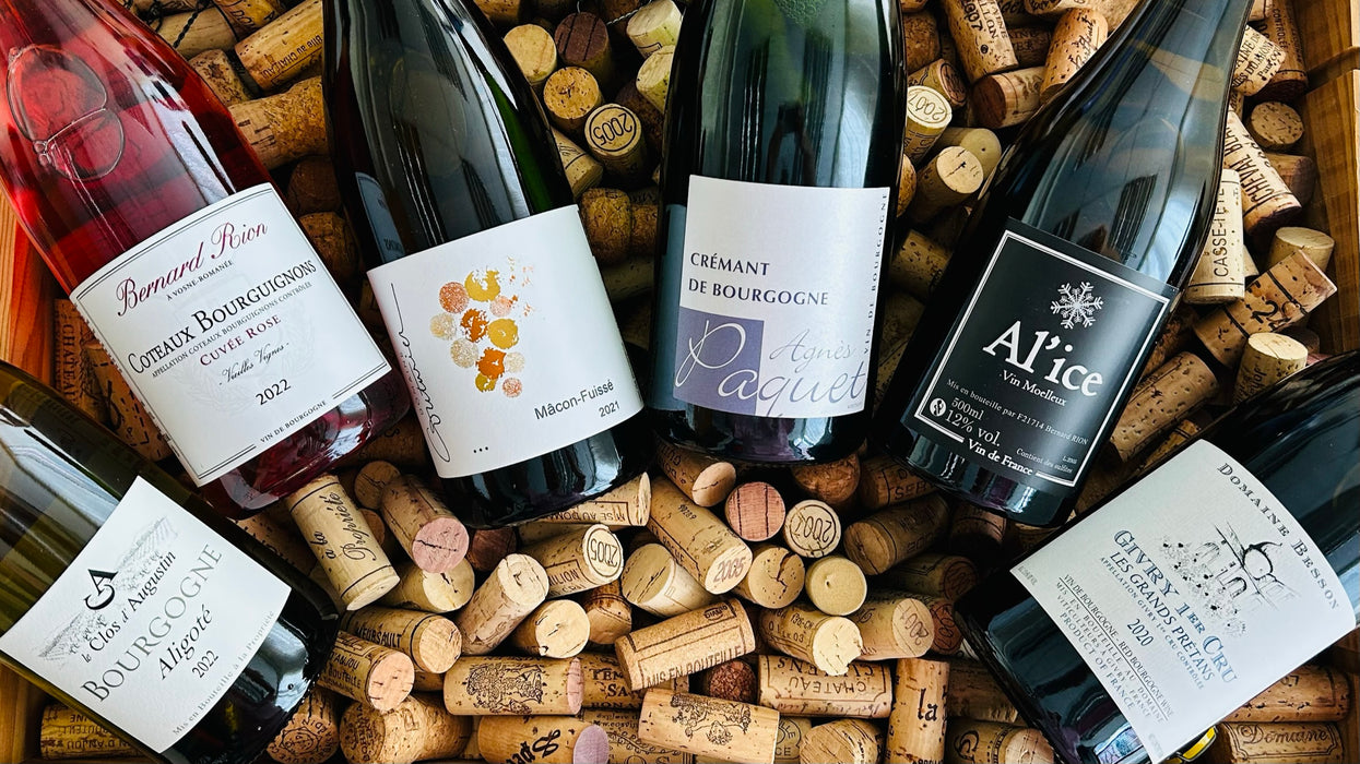 Bourgogne Discovery Set 布爾岡嚐味套裝