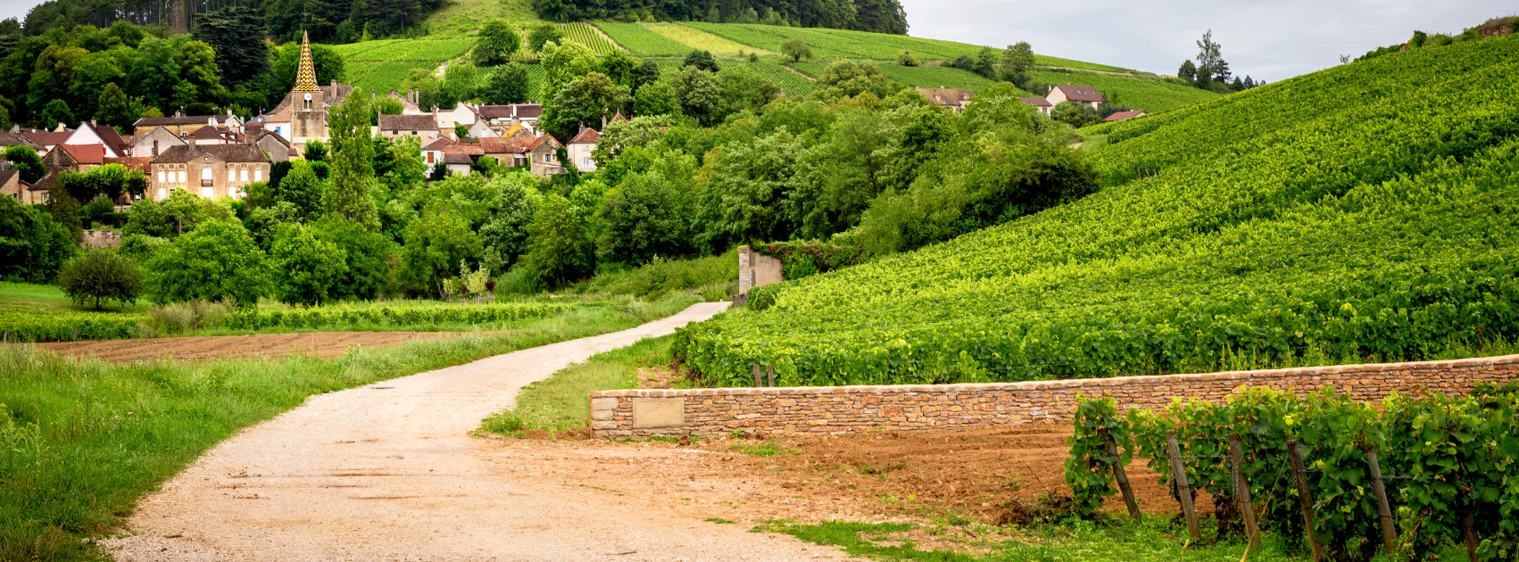25 Oct: Discover Beaune & Its Neighbouring Villages