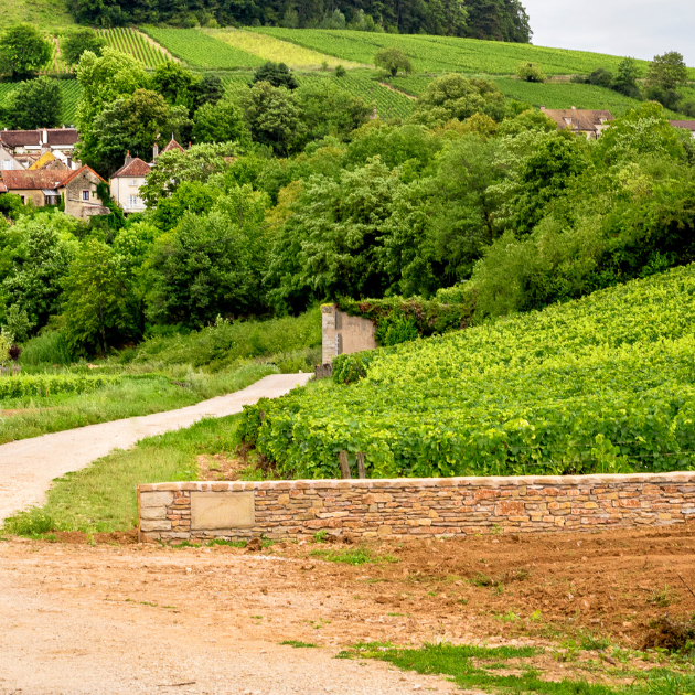 25 Oct: Discover Beaune & Its Neighbouring Villages