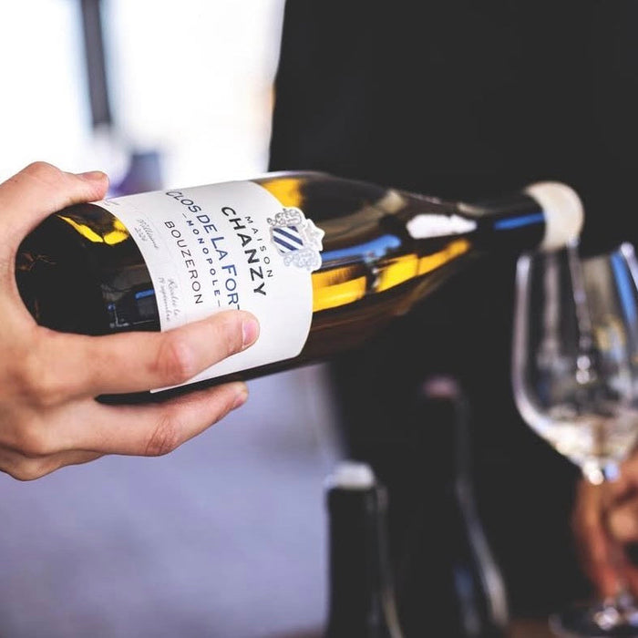 28 May: Bourgogne Master Class - Maison Chanzy