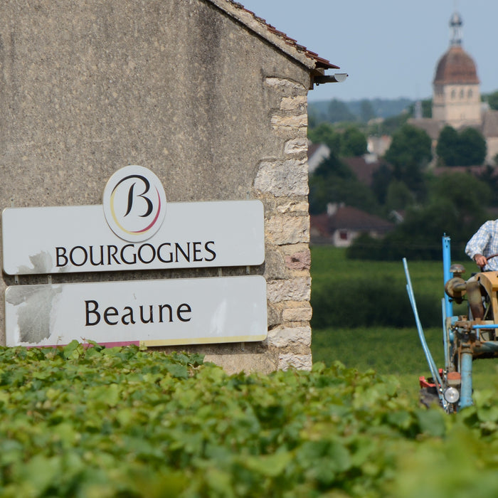 葡萄酒業的可持續發展