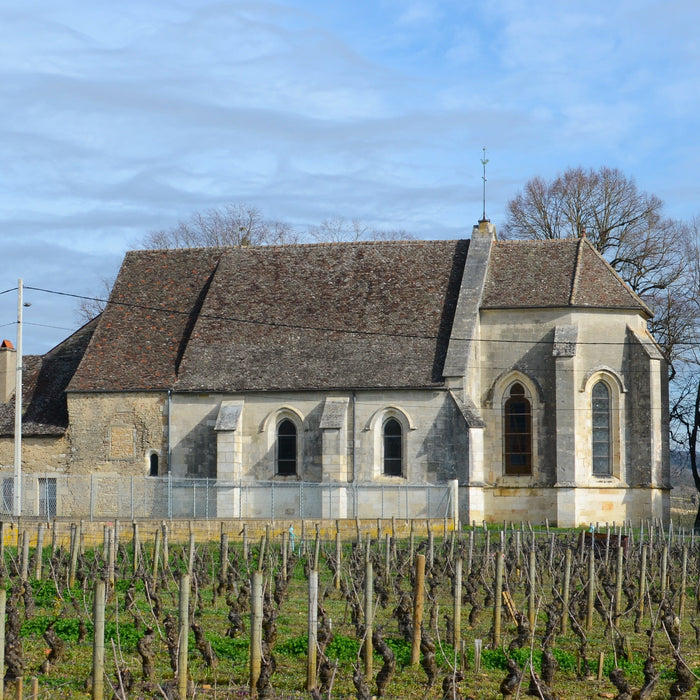 布爾岡聖母教堂園 Bourgogne La Chapelle Notre-Dame