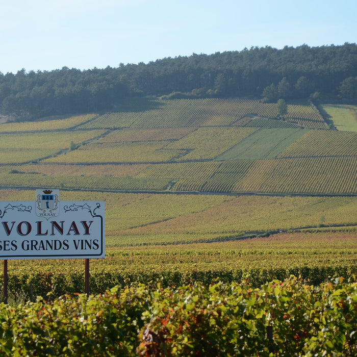 在酒區經常出現的字元Côte