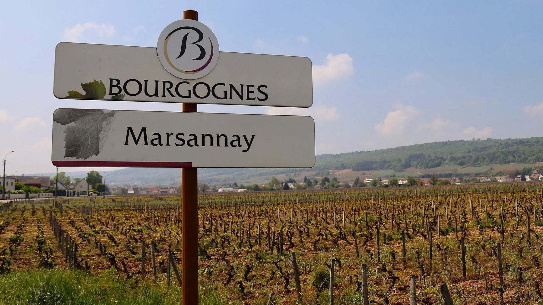 金色大門有望再現光芒