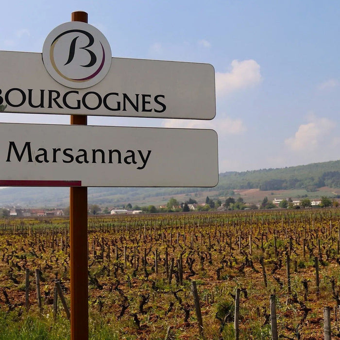 金色大門有望再現光芒