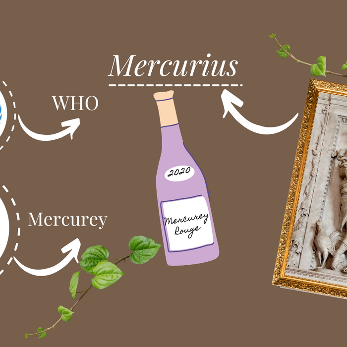 Mercurey美居希的名字由來