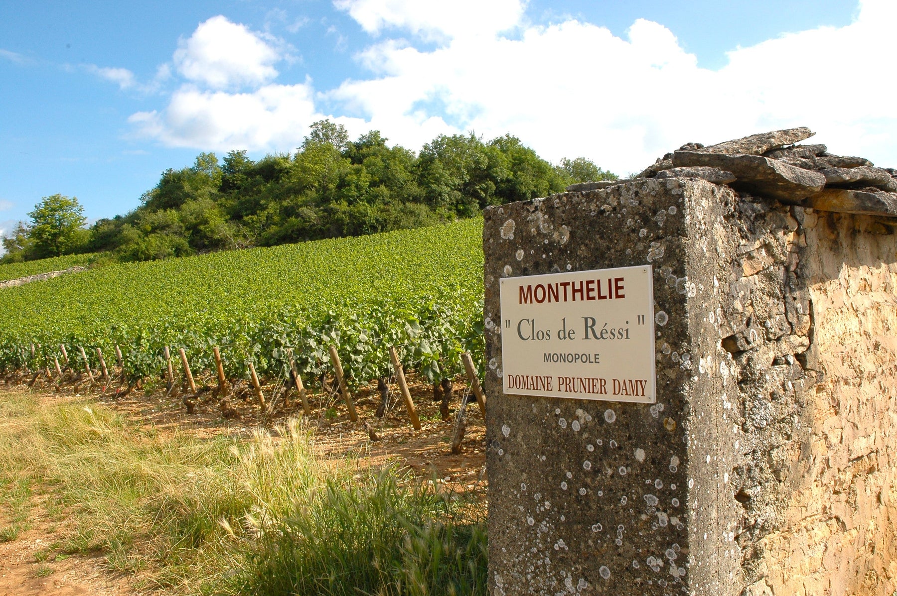 布爾岡的略地lieu-dit和獨佔園monopole