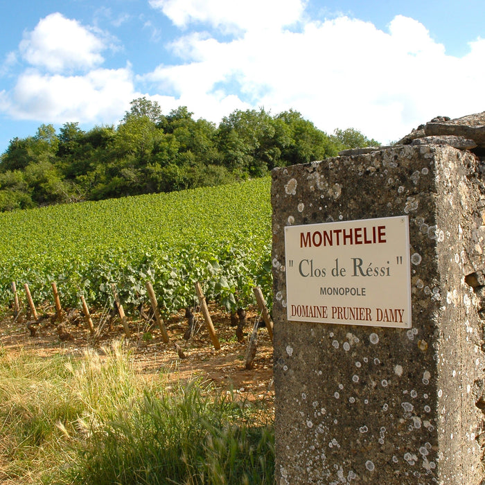 布爾岡的略地lieu-dit和獨佔園monopole