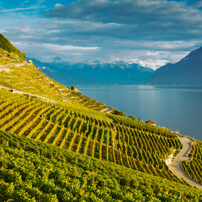 Swiss Wine Discovery April 27
