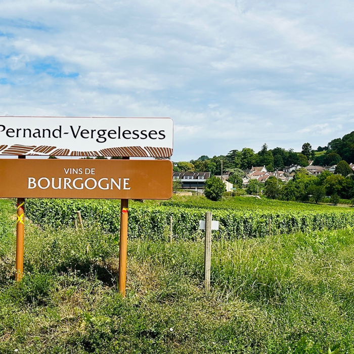 何謂村莊級產區？