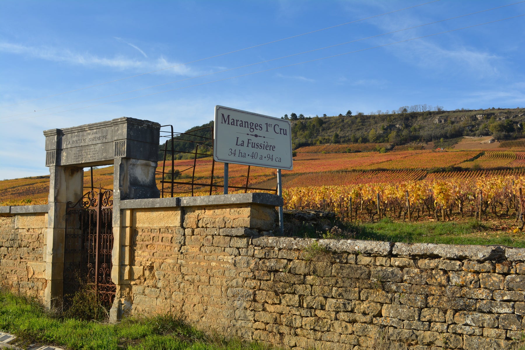 Maranges Tasting 7-8 Feb