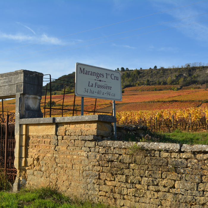 Maranges Tasting 7-8 Feb