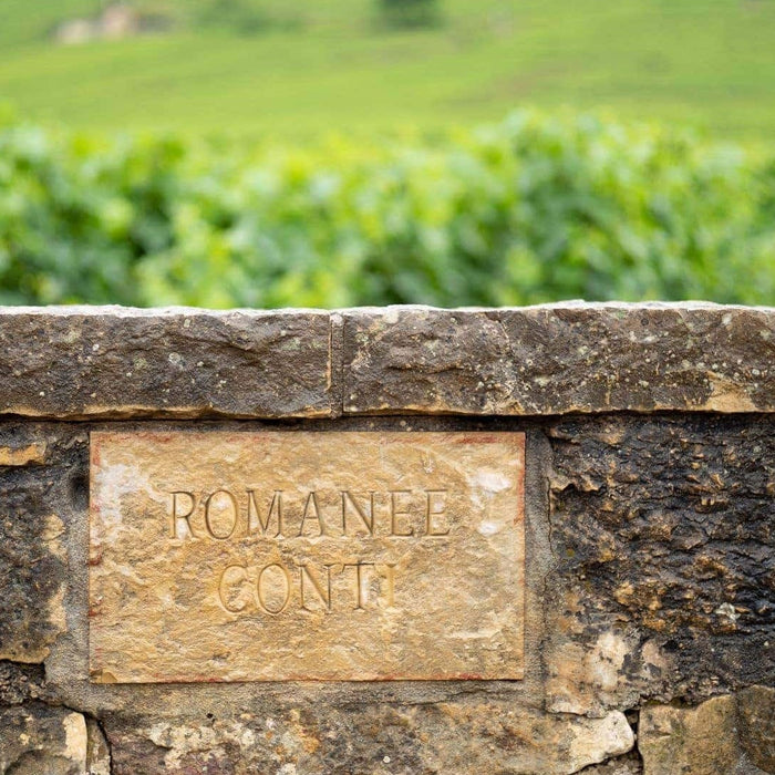 連繫古今的酒區名字：有根據，也有故事