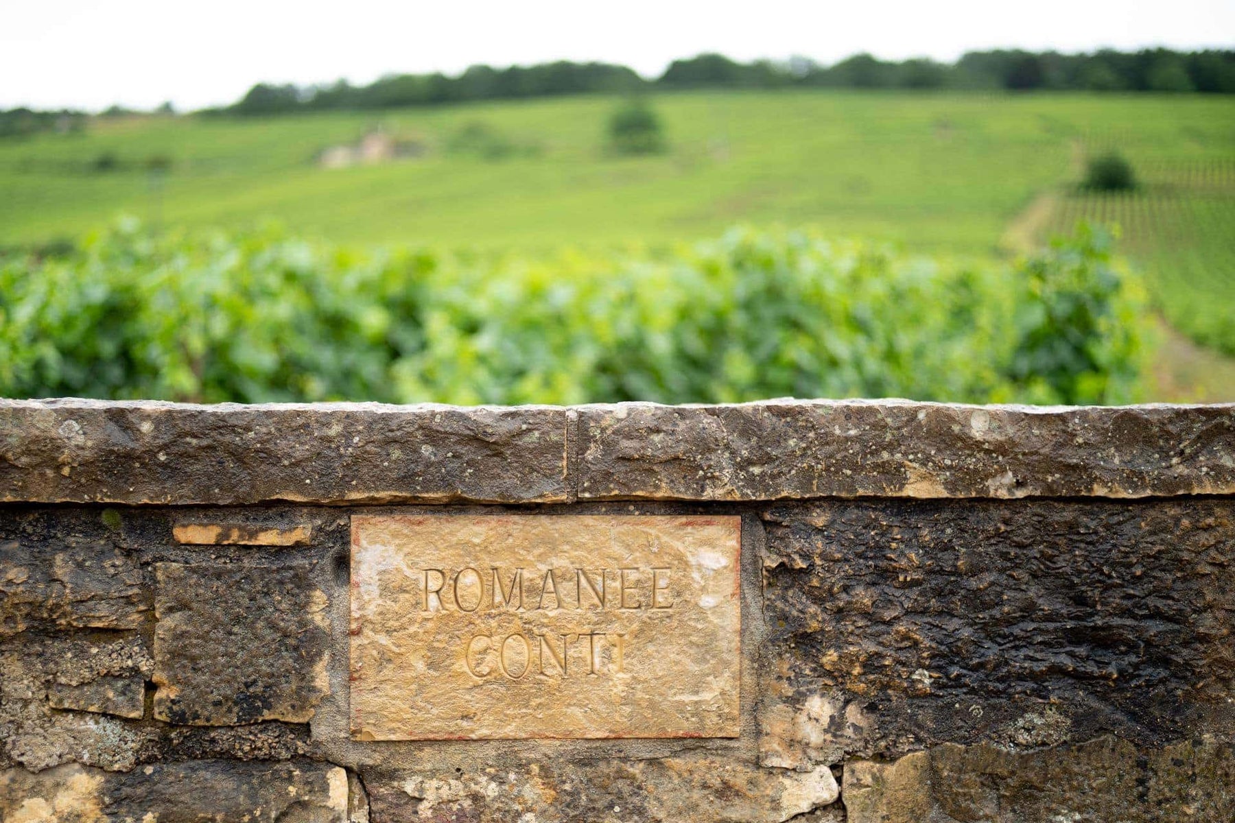 July 26 & 27: Lieux-dits, climats, clos, and monopoles