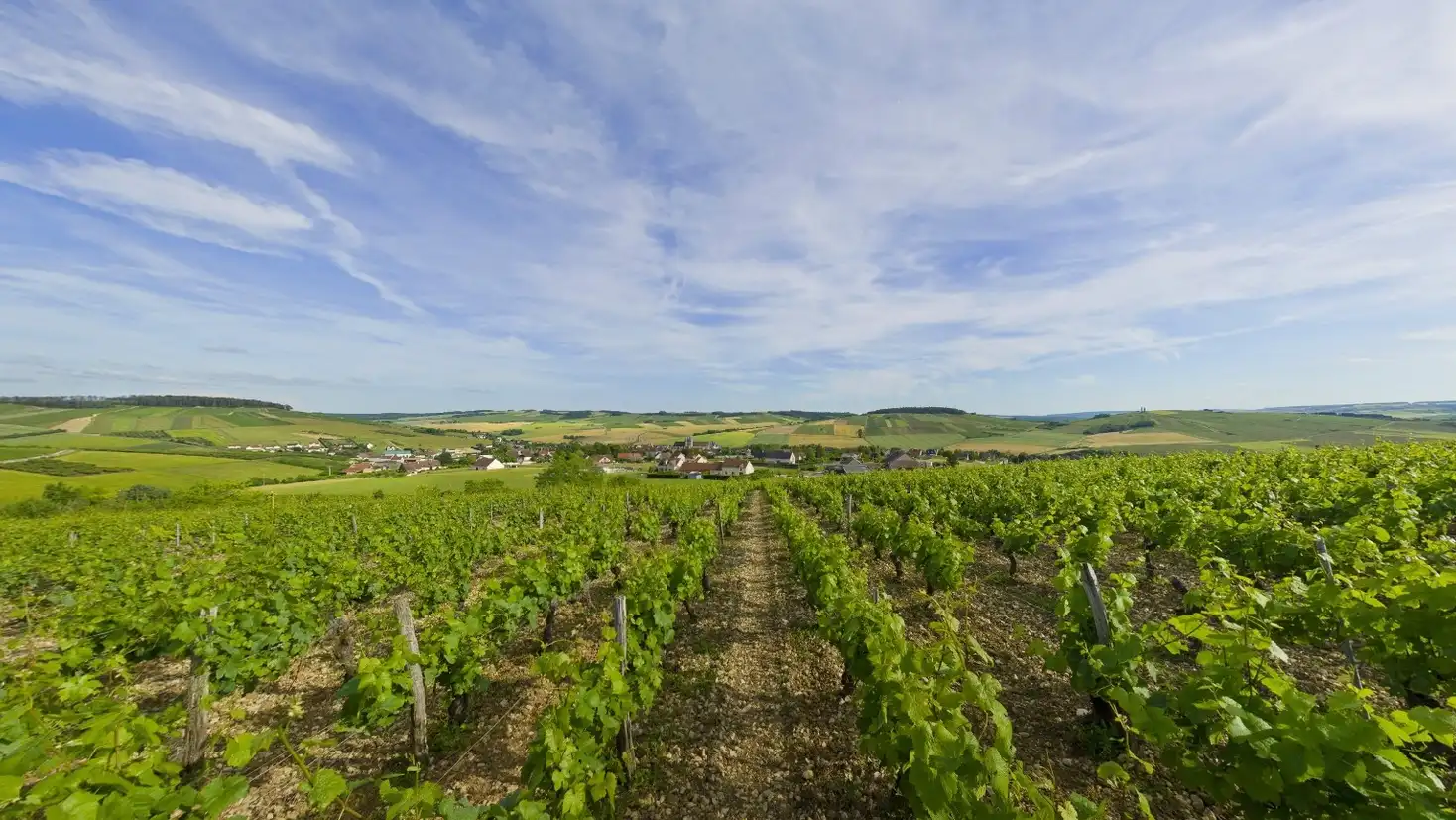 聖布里Saint-Bris的維權故事