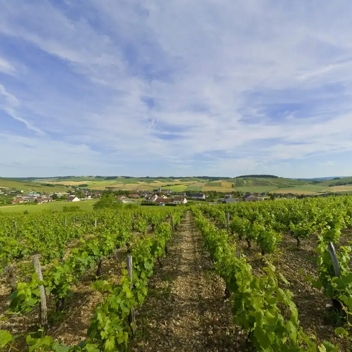 聖布里Saint-Bris的維權故事