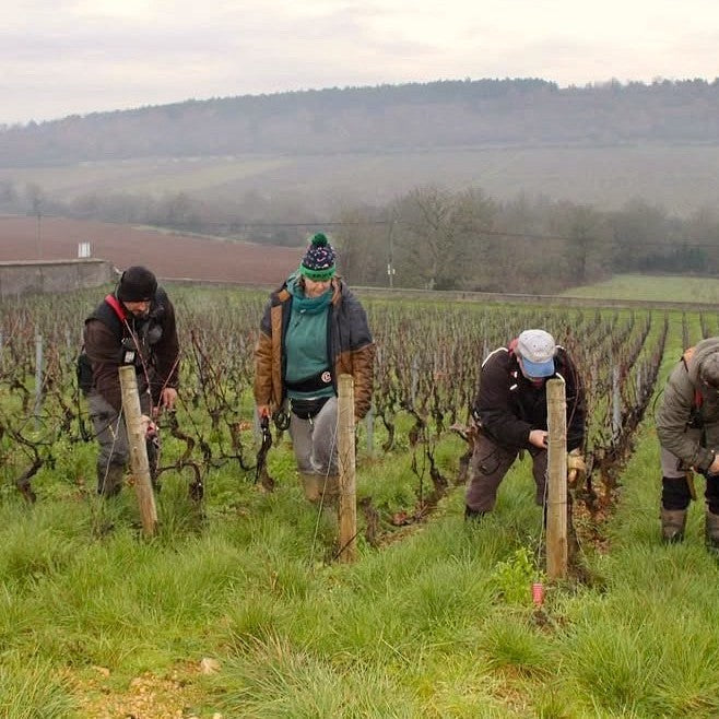 好酒背後的無名英雄