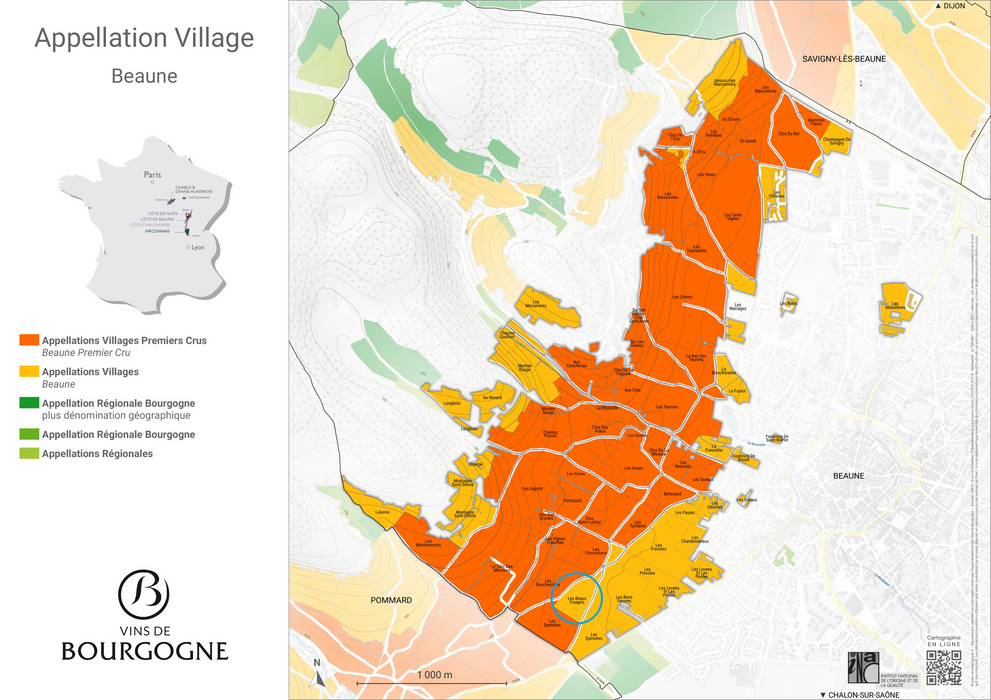 Beaune Les Beaux Fougets 2020 Bernard Rion 博納村紅酒略地 Les Beaux Fougets