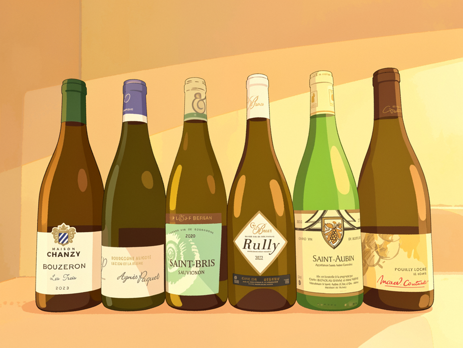 Bourgogne Discovery Set - Blanc 布爾白酒岡嚐味套裝