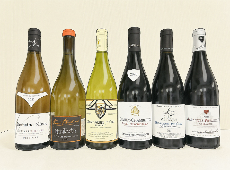 Bourgogne 1er Cru 6-bottle Set 布爾岡一級園6瓶套裝