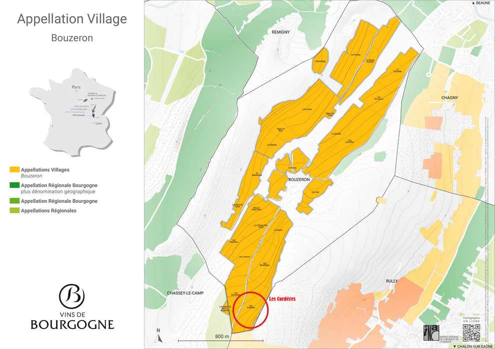 Bouzeron Les Cordères 2023 Maison Chanzy 布司虹村白酒略地Les Cordères