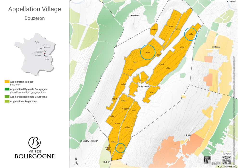 Bouzeron Les Trois 2023 Maison Chanzy 布司虹村白酒「三塊田」