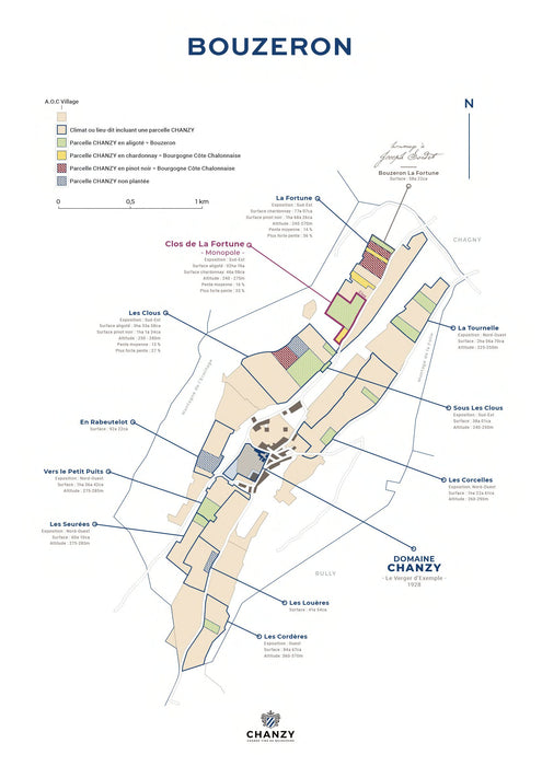Bouzeron Clos de la Fortune Monopole 2021 Maison Chanzy 布司虹村白酒獨佔園「幸福圍」