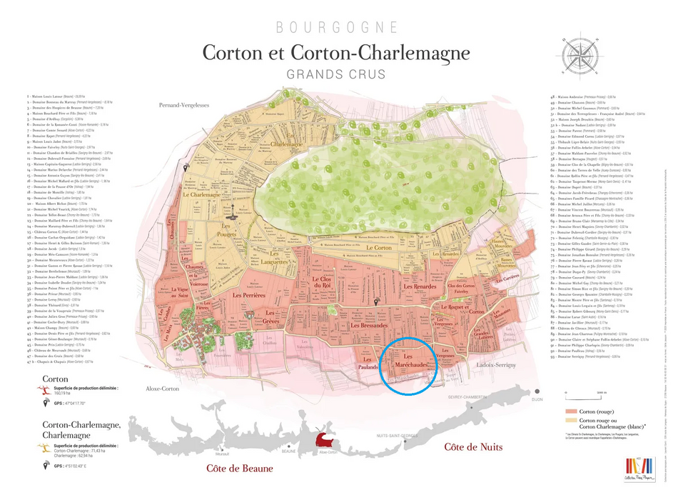 Aloxe-Corton 1er Cru Les Maréchaudes 2023 Domaine Jean-Pierre Maldant 阿洛斯-科通一級園紅酒「瑪希素園」