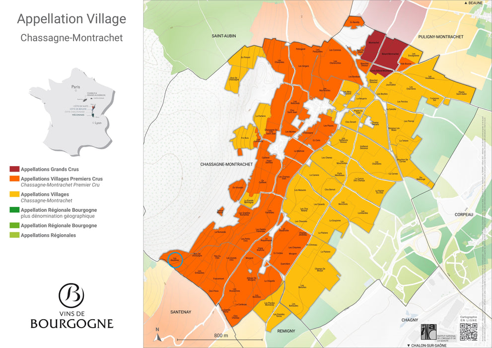 Chassagne-Montrachet 1er Cru Les Baudines 2019 Domaine Blondeau-Danne 夏山-夢夏雪一級園白酒